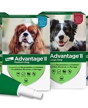 Petsense by Tractor Supply image 7
