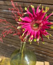 Comptoir des Fleurs image 2