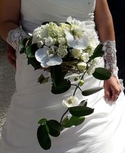 Flowers image 1