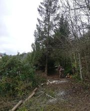 A.D.S Services image 13