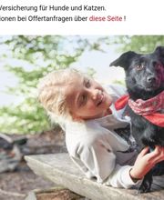 Speedy- Service Dienstleistung mit Herz für Mensch und Tier von Remetschwil Bild 7