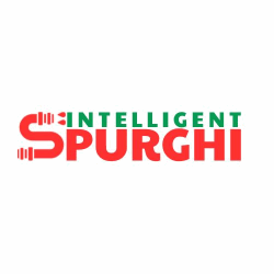 Intelligent Spurghi logo