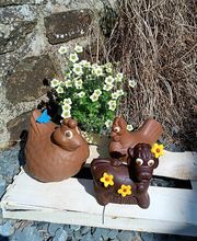 Boulangerie Ollivier Franck image 1