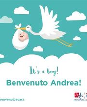 RE/MAX Arts immagine 4