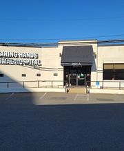 Caring Hands Animal Hospital - Clarendon image 8