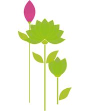 Les Jardins de la Lauve image 1