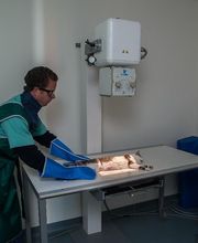 Clinique Vétérinaire Des Noes image 6