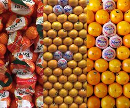 frutas-y-verduras-primi-3.jpg