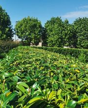 Les 4 Saisons image 3