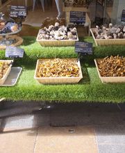 DELICIAS DEL BOSQUE imagen 7