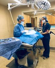 Northgate Animal Hospital image 5