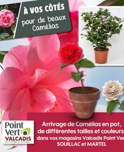 Point Vert Valcadis image 3