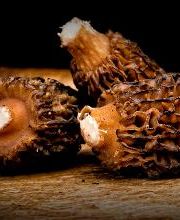 Boucherie d'Onex Bild 9