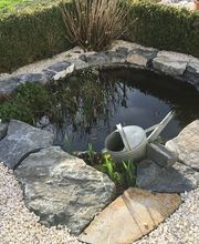 Gartenbau Reinhard AG Bild 5