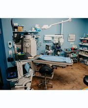 Stevenson Village Veterinary Hospital image 12