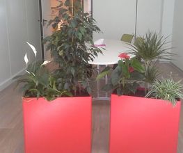 FABY JARDIN Bild 7