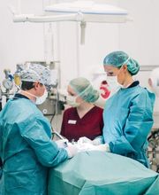 Vet-Zentrum Rosenheim Bild 1