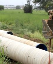 Rocuet David image 4