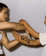 Society for Ving Tsun Kung Fu Martial Arts Bild 5