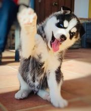 El Edén de Lilith imagen 9