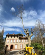 Chaubet Eau Vert Paysage SARL image 7