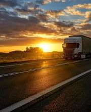 Transerrasol imagen 6