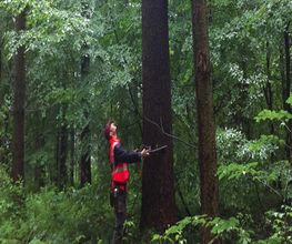 FORET D'ICI image 3