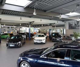 STERNAUTO Bild 3