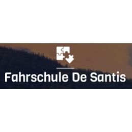 Fahrschule De Santis logo