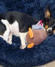 Diana M. Reed & Associates, PC image 5