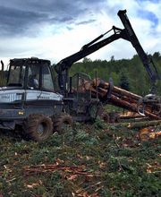 Forestière De La Roche SA image 2