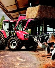 Cauquil et Fils SARL image 7