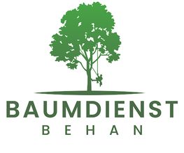 Baumdienst Behan Bild 6