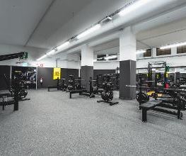 FITINN immagine 17
