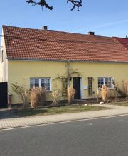 Hundeparadies Brandenburg Bild 1