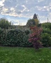 MK Gartenbau GmbH Bild 3