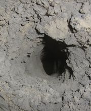 Pfeifer Kaminfeger GmbH Bild 4