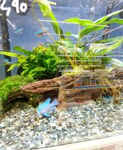 Tom&Co Hautmont - Louvroil image 15