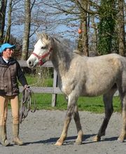 Les Sabots de Villecartier image 6