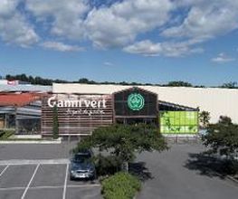 GAMM VERT image 4