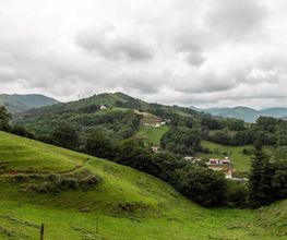 Pikukoborda-18.jpg