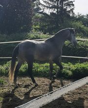Ecole D'Equitation De Chazeron image 8