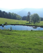 Ferienparadies Althäuslehof Bild 14