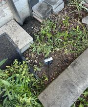 Alerte Nuisibles image 6