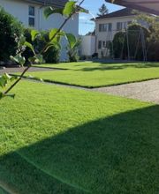 Michi Matter Gartenbau GmbH Bild 7