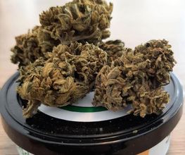 GREEN BUDD CBD PORNIC image 7