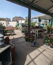 Raiffeisen-Markt Burlo Bild 3