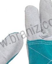 Brañiz imagen 1