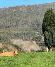 Esencias del Molino imagen 7
