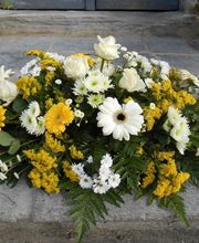 Maguyflor image 13